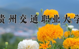2024贵州交通职业大学录取分数线，重庆录取最低分418