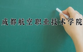 2024年成都航空职业技术学院录取分数线，宁夏最低395分