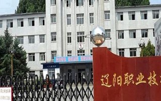 2024年辽阳职业技术学院录取分数线，青海最低271分