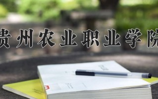 2024贵州农业职业学院录取分数线，重庆录取最低分368