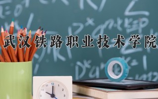 2024武汉铁路职业技术学院录取分数线：浙江最低453分