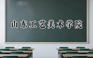 2024山东工艺美术学院录取分数线：江苏最低507分