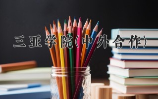 2024三亚学院(中外合作)录取分数线，重庆录取最低分449