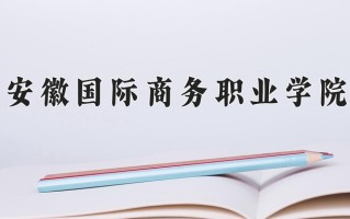 2024安徽国际商务职业学院录取分数线：浙江最低426分