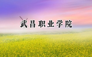 2024武昌职业学院录取分数线：山西最低218分