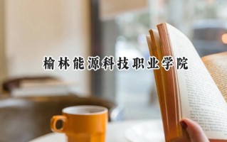 2024榆林能源科技职业学院录取分数线：宁夏最低310分