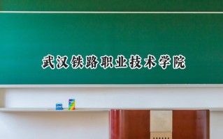 2024武汉铁路职业技术学院录取分数线：陕西最低379分