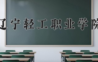 2024年辽宁轻工职业学院录取分数线，内蒙古最低231分