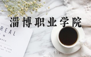 2024年淄博职业学院录取分数线，内蒙古最低275分