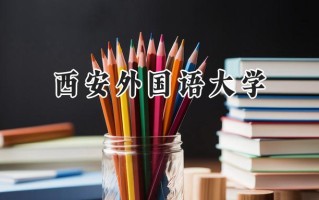 西安外国语大学2024在青海录取分数线是多少？最低393分/最高528分