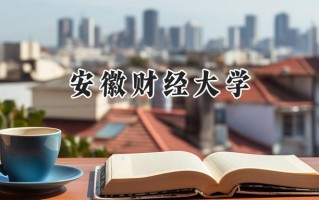 2024安徽财经大学录取分数线：山西最低506分