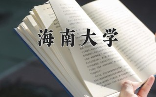 2024年海南大学录取分数线，新疆最低426分
