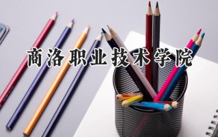商洛职业技术学院2024在山东录取分数线是多少？最低399分/最高447分