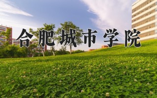 2024合肥城市学院录取分数线：浙江最低471分