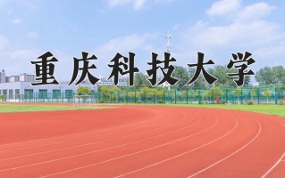 2024重庆科技大学录取分数线，重庆录取最低分497