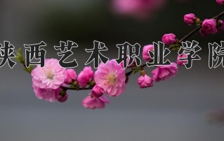 2025年陕西356分左右能报的大学名单