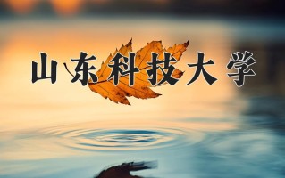 2024山东科技大学录取分数线：浙江最低490分