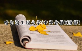 2024哈尔滨工程大学(中外合作)(海洋)录取分数线：陕西最低594分