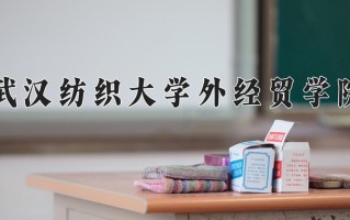2024武汉纺织大学外经贸学院录取分数线：浙江最低413分