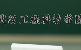 武汉工程科技学院最厉害的专业-2024武汉工程科技学院最好专业