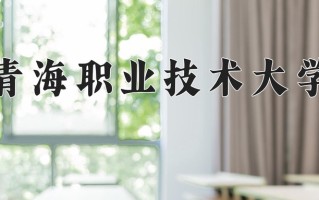 2024年青海职业技术大学录取分数线，青海最低297分