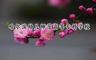 2024哈尔滨幼儿师范高等专科学校录取分数线：河南最低176分