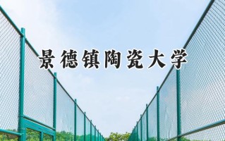 2024景德镇陶瓷大学录取分数线：陕西最低461分