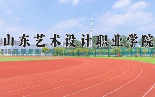 2024山东艺术设计职业学院录取分数线：浙江最低318分