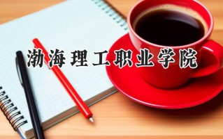 2024渤海理工职业学院录取分数线：山西最低227分