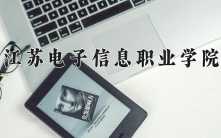 2024年江苏电子信息职业学院录取分数线，宁夏最低343分