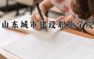 2024山东城市建设职业学院录取分数线：浙江最低411分
