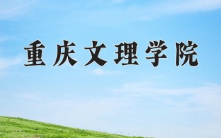 2024年重庆文理学院录取分数线，宁夏最低419分