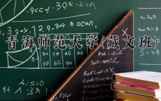 青海师范大学(藏文班)学费多少钱一年：4500-5200元/年（2025填报参考）