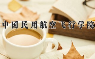 中国民用航空飞行学院好不好？附中国民用航空飞行学院最好的专业排名