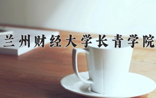 兰州财经大学长青学院最厉害的专业-2024兰州财经大学长青学院最好专业
