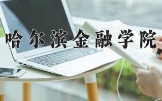 2024年哈尔滨金融学院录取分数线，青海最低354分