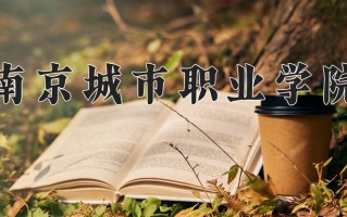 计算机应用技术专业学费多少？附江苏2024年招收的大学