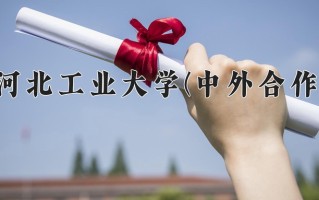 2024河北工业大学(中外合作)录取分数线，重庆录取最低分547