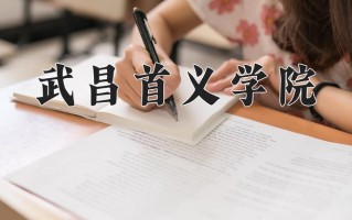 2024年武昌首义学院录取分数线，新疆最低224分