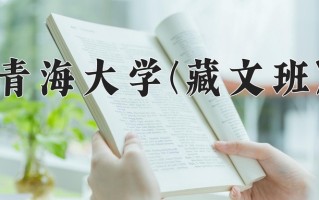 2024年青海大学(藏文班)录取分数线，青海最低451分