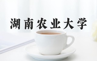 宁夏509分能上什么大学？附2025年可以报考的大学名单