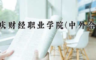 2024重庆财经职业学院(中外合作)录取分数线，重庆录取最低分359
