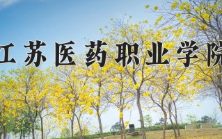 云南335分能上什么大学？附2025年可以报考的大学名单