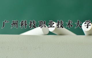 云南254分能上什么大学？附2025年可以报考的大学名单