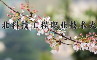 2025年黑龙江高考384分可以上什么大学？附可以上的院校名单