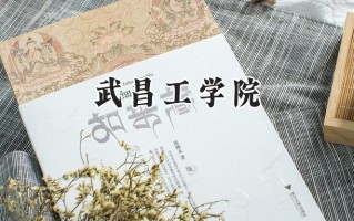 武昌工学院2024在浙江录取分数线是多少？最低340分/最高545分