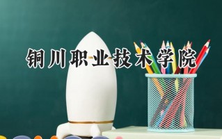 铜川职业技术学院2024在内蒙古录取分数线是多少？最低205分/最高319分