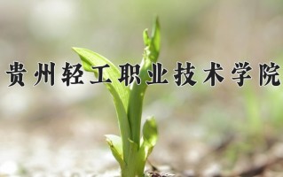 2025年贵州轻工职业技术学院在四川计划招生人数（附学费及专业录取分)