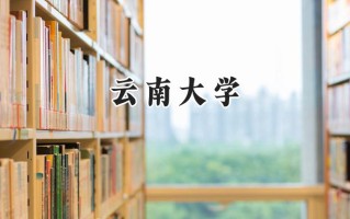云南大学2024在上海录取分数线是多少？最低515分/最高531分
