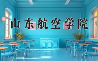 山东航空学院全国排名和最强专业解析